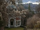 Il viale delle Cappelle del Sacro Monte nell'alba calda di Varese (foto Mario Chiodetti)