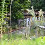 La natura si è ripresa il suo spazio dopo che il minigolf ha perso un &quot;papà&quot;. È allo studio un nuovo bando comunale per trovargliene un altro (foto Alessandro Umberto Galbiati)