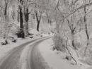 In giornata è attesa la prima neve al Campo dei Fiori