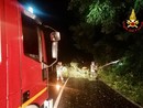 FOTO. Forte temporale nella notte sul Varesotto: alberi caduti e vigili del fuoco in azione. Problemi anche a Malpensa