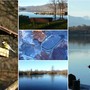 Un Natale immerso nella natura, tra Palude Brabbia, Inarzo e il porticciolo di Cazzago, respirando il profumo del bosco e del lago (foto Mario Chiodetti)