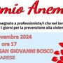 Dettaglio della locandina del Premio Anemos. Nella Gallery, la locandina integrale