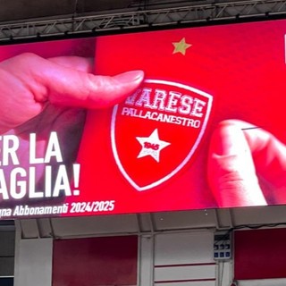 &quot;Per la maglia&quot;, la campagna abbonamenti 2024/2025 lanciata da Pallacanestro Varese