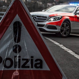 (foto dalla pagina Facebook della polizia cantonale ticinese)