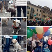 FOTO. La benedizione degli amici a quattro zampe, il lancio dei palloncini con i messaggi dei bimbi: Sant'Antonio festa di tutti