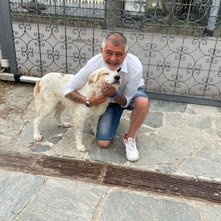 Il sindaco Puricelli con Thiago e sotto gli altri animali della famiglia