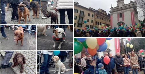 FOTO. La benedizione degli amici a quattro zampe, il lancio dei palloncini con i messaggi dei bimbi: Sant'Antonio festa di tutti