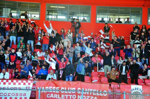 L'entusiasmo del pubblico biancorosso in tribuna al Franco Ossola (foto Ezio Macchi)