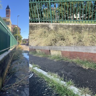 FOTO. Dal parco alla scuola, Sant'Edoardo protesta per le erbacce. «Sfalci regolari a Busto ma vedremo se si potrà aumentare la cifra a bilancio»