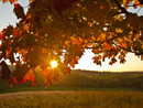 Sabato con il sole, domenica nuvolosa con deboli piogge. Ecco cosa ci attende per il 1° novembre