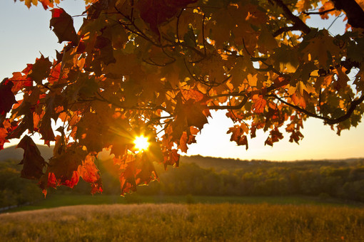 Sabato con il sole, domenica nuvolosa con deboli piogge. Ecco cosa ci attende per il 1° novembre