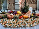 Domenica a Fagnano la regina è la zucca