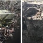 Dai boschi della Rasa spunta un’antica tomba (FOTO E VIDEO)