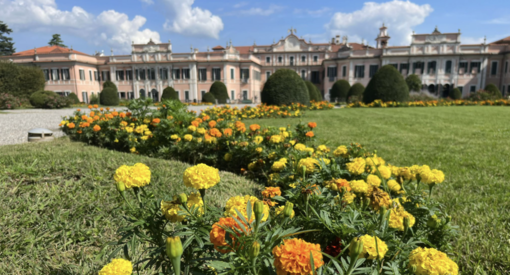 Appuntamento domani a Palazzo Estense per le benemerenze del Coni