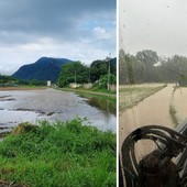 Piogge e campi allagati in Valceresio