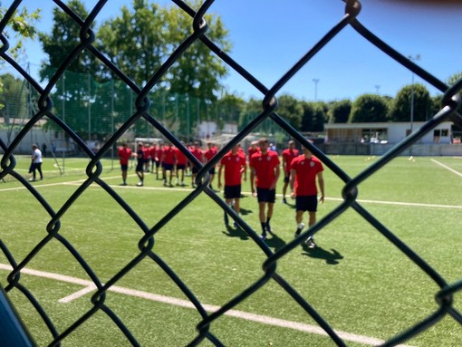 Gironi, il Varese verso il girone A dove oltre a liguri e piemontesi potrebbe trovare il Piacenza