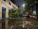 Un albero caduto in via Maestri del Lavoro nella foto scattata dalla redazione de Ilsaronno