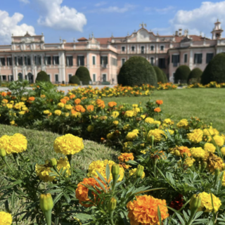 Appuntamento domani a Palazzo Estense per le benemerenze del Coni