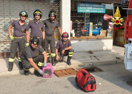 FOTO. Sesto, due gattini estratti dalle tubazioni e salvati dai vigili del fuoco