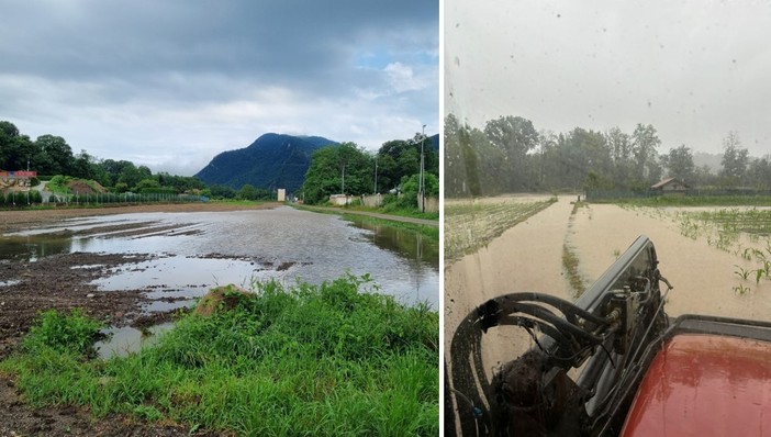 Piogge e campi allagati in Valceresio