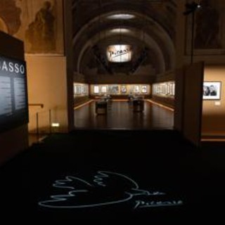 Picasso al Palazzo Reale di Palermo, 84 opere raccontano l'uomo e l'artista