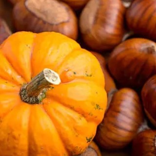 A SPASSO NEL WEEKEND. Il Ponte di Ognissanti nel Varesotto, tra castagnate, zucche ed enogastronomia