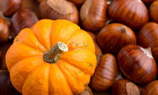 A SPASSO NEL WEEKEND. Il Ponte di Ognissanti nel Varesotto, tra castagnate, zucche ed enogastronomia